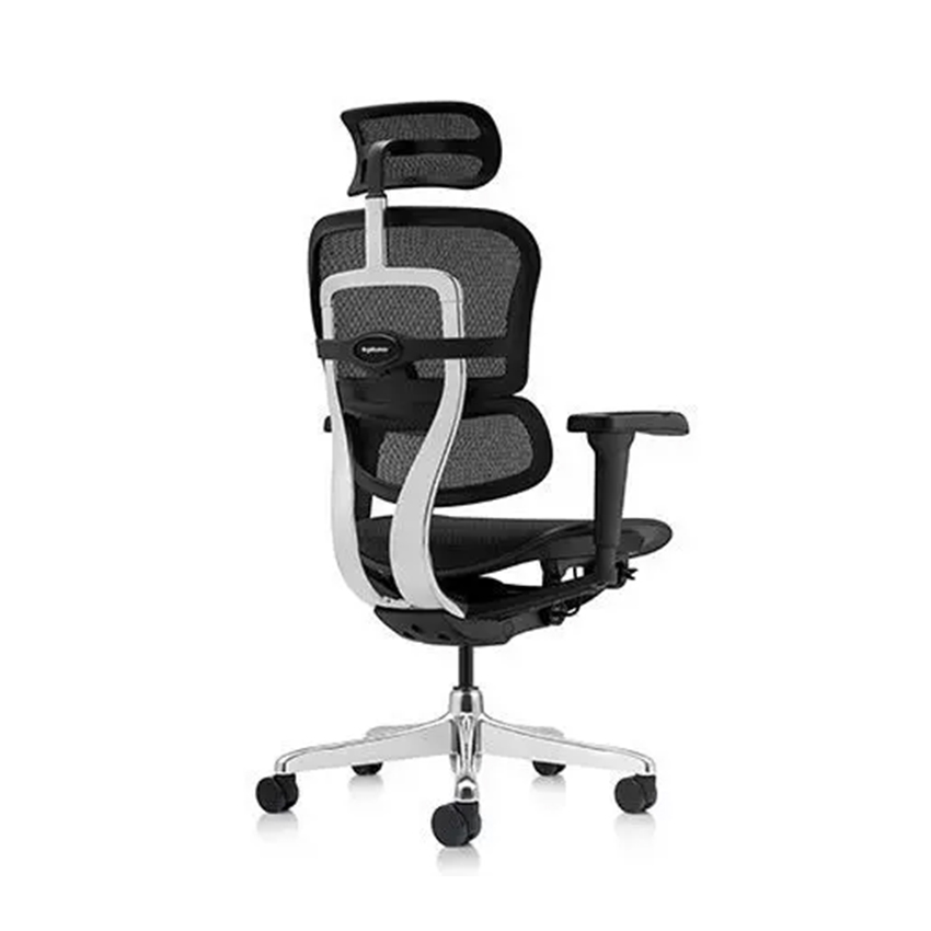 Ghế Công Thái Học Manson Ergohuman Ultra (Đen/Xám) - Ảnh 8
