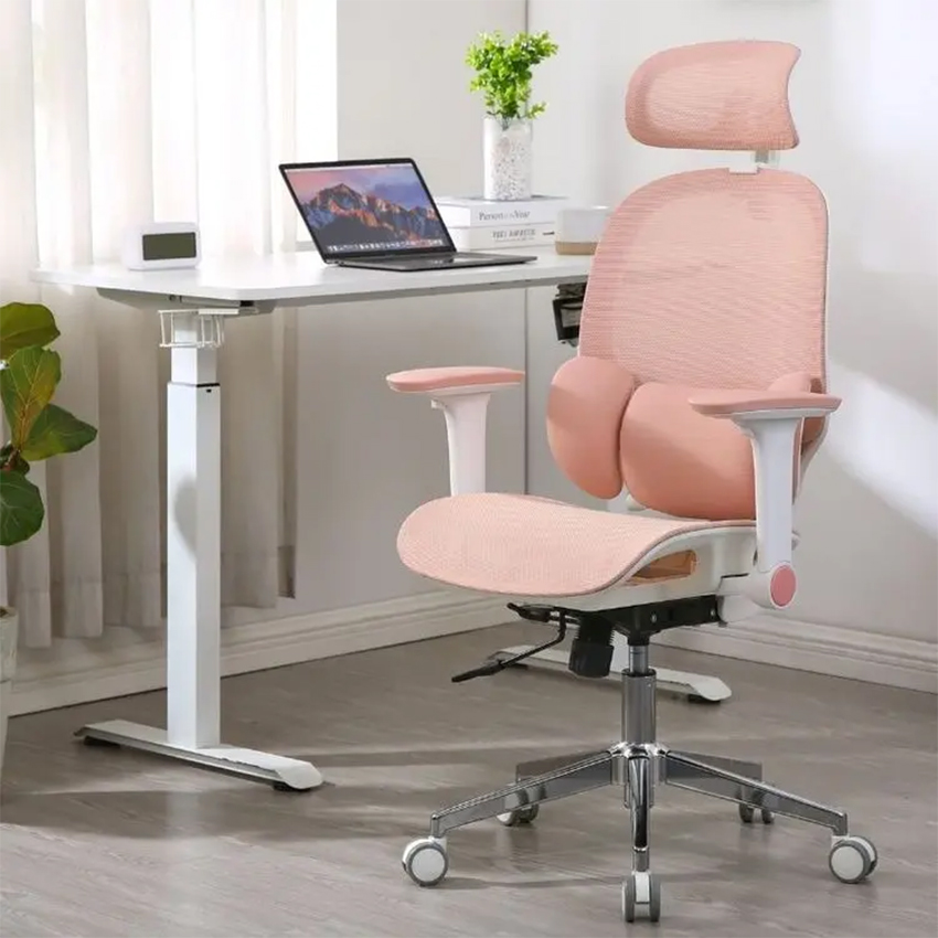 Ghế Công Thái Học Manson E3 Lite - Phiên Bản Lưới