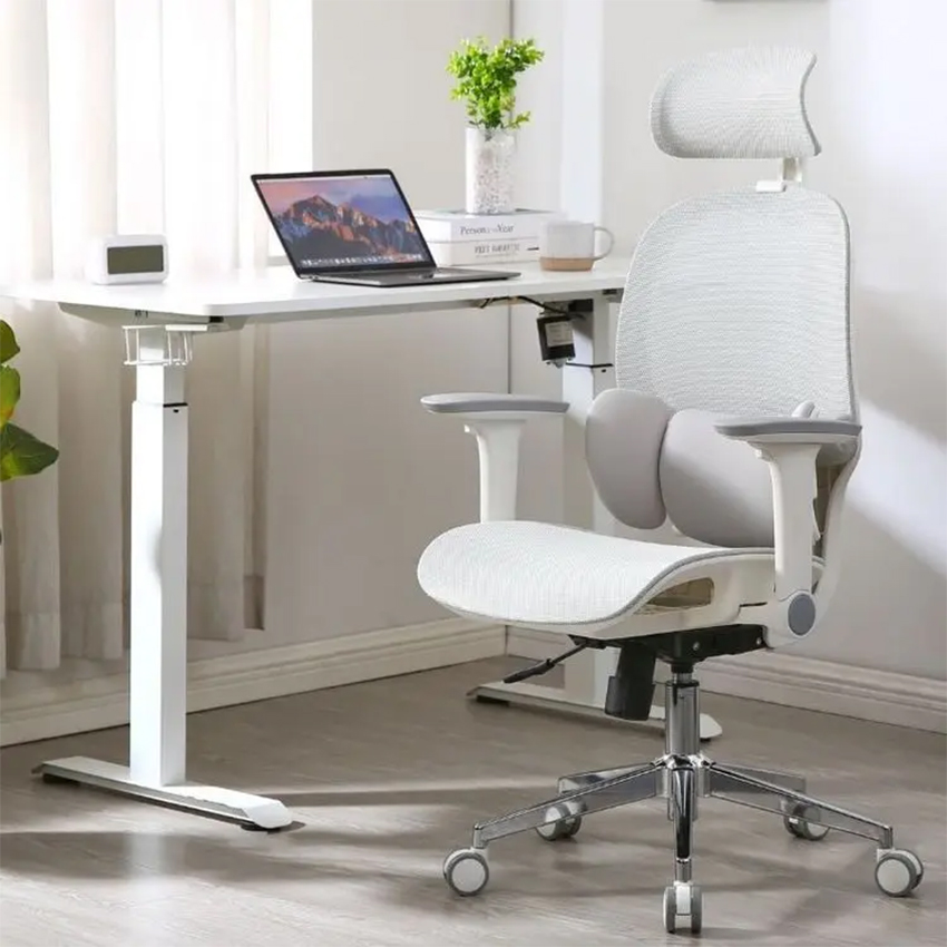 Ghế Công Thái Học Manson E3 Lite - Phiên Bản Lưới
