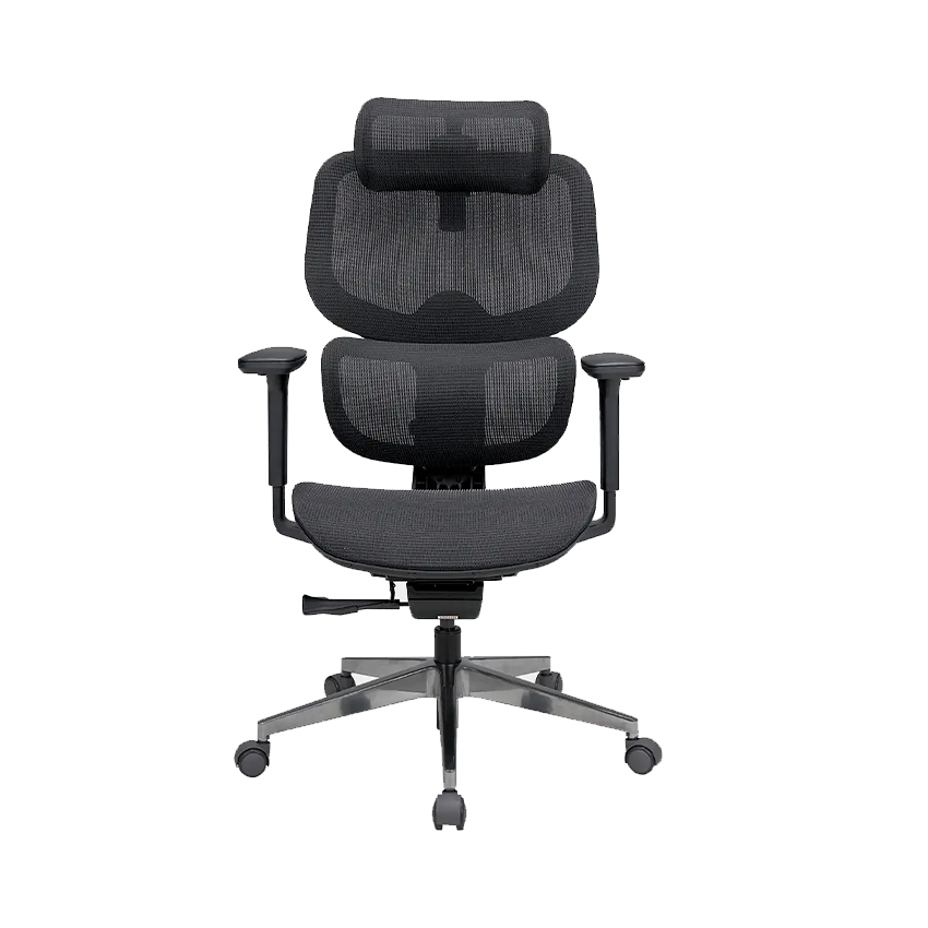 Ghế Công Thái Học Epione FortisChair 2.0