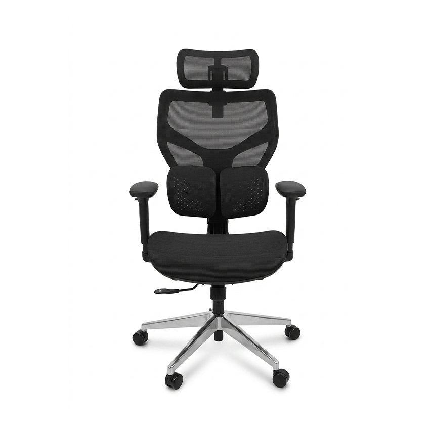 Ghế Công Thái Học Epione FortisChair 3.0
