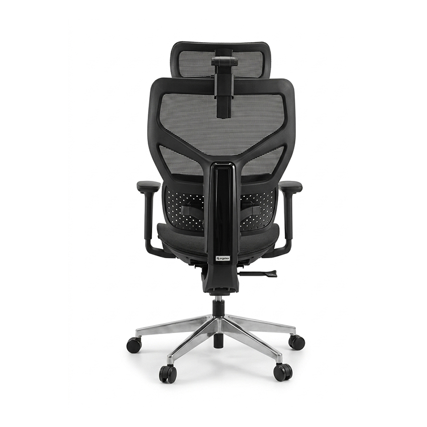 Ghế Công Thái Học Epione FortisChair 3.0