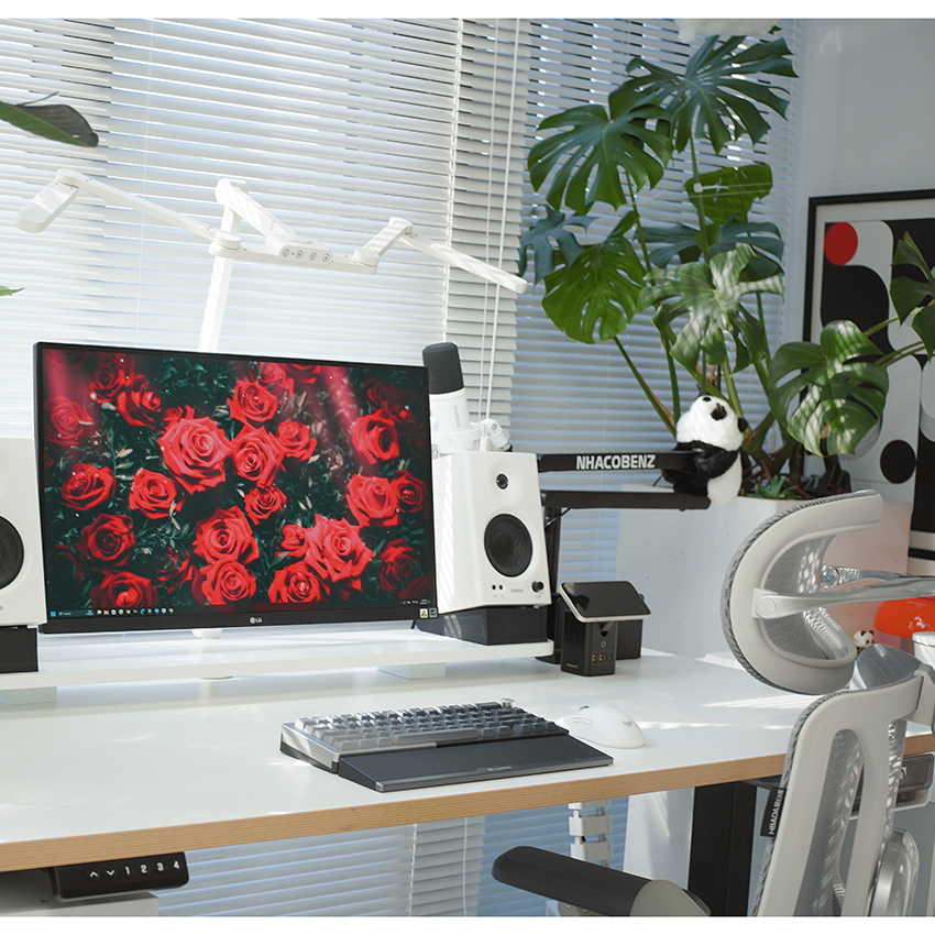 Ghế Công thái học Hbada X Manson E3 Pro